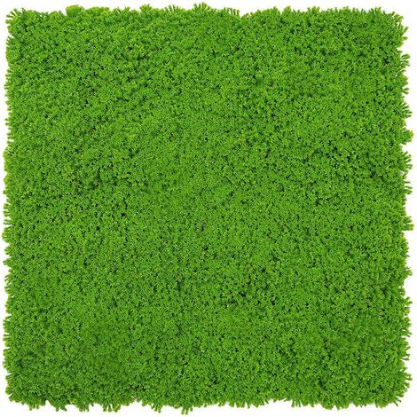 JANGAL Modular Wall Akustik 3D Paneele 520 x 520 mm Lime Green Design Moos Kunst Pflanzwand Moospaneele (1/5)