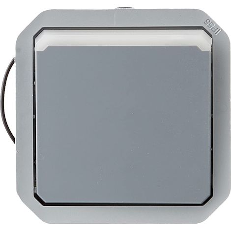 Interrupteur ou va-et-vient lumineux étanche Plexo 10A à équiper d'un boitier ou plaque support finition gris (1/4)
