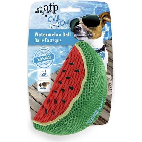 All For Paws Chill Out Watermelon Slice - PK 1 - 308185 (1/5)