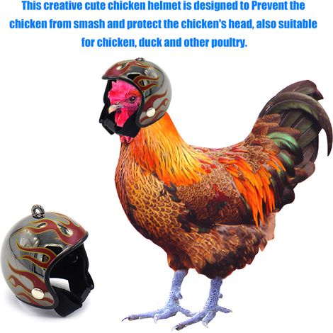 Casque pour poule cartoon petit casque volaille ajustable sécurité oiseaux (1/2)