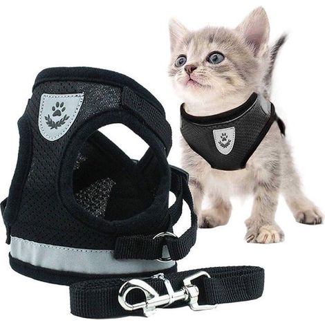 Harnais pour chat avec laisse – Harnais réglable pour chat avec bandes réfléchissantes – Maille respirante – Pour la marche et l'entranement – Pour chats – Noir – Taille M – 1 Set (1/5)