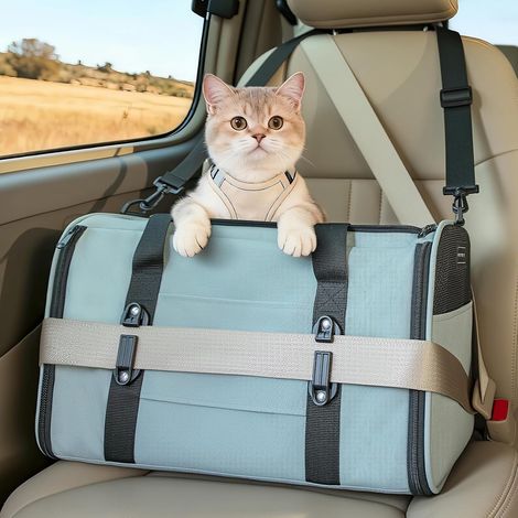 Sac de transport souple pour chat de voiture pour chats moyens et petits chiens avec boucles de sécurité et fermetures éclair verrouillables anti-évasion – Idéal pour les visites chez le (1/5)