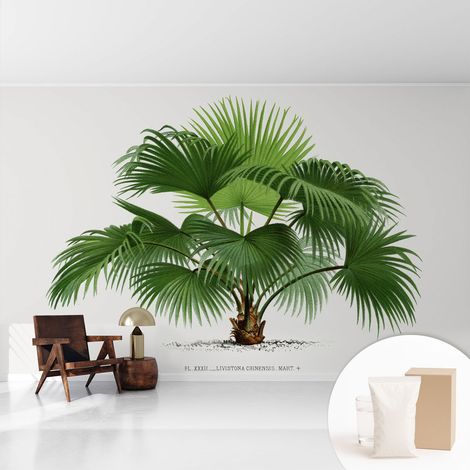 Fototapete Tapete Vliestapete mit Kleber Büro Wandgestaltung - Wanddekoration Wohnzimmer Exotische Palme 416x254 cm (1/5)