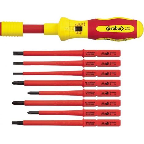 Tournevis dynamométrique e-robur 1 5 Nm 8 embouts (1/2)
