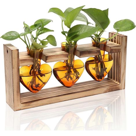 Herzförmiges Terrarium mit Holzständer, geeignet für Hydrokultursysteme. Auch für Büro, Garten und als Dekoration für Zuhause geeignet. Ideal als Geschenk für Frauen. (1/5)