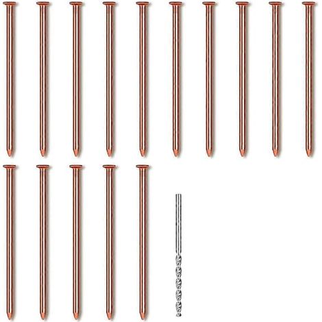 Lot de 15 clous en cuivre pour l'élimination des souches d'arbres, clous en cuivre pur de 8 cm de long avec foret, clous pour l'enlèvement de souches (FMY) Photo couleur (1/5)