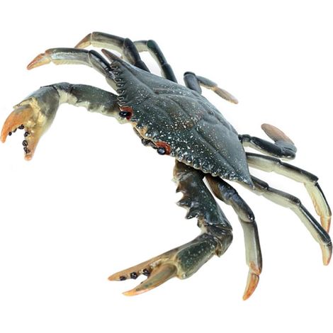 Figurine Crabe Marin Réaliste Décor Aquarium Portable Modèle Animal Marin pour Aménagement Aquatique Couleur Aléatoire Couleur Aléatoire (1/5)