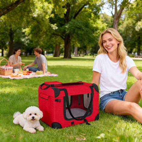 Rouge 60x41,5x41 cm - Transporteur pliable pour chiens doté de fenêtres en maille, coussin doux et 2 poignées pour mini-chiens et chats