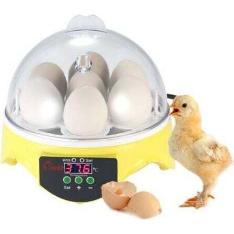 Incubateur automatique pour 7 œufs avec contrôle numérique de la température - pour élevage de volailles - Poulet Canard Caille (1/4)