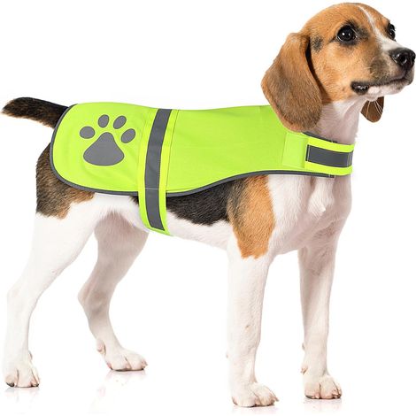 Gilet réfléchissant pour chien, idéal pour la sécurité nocturne, la chasse et la promenade, haute visibilité, léger et respirant, vert fluo, taille L.