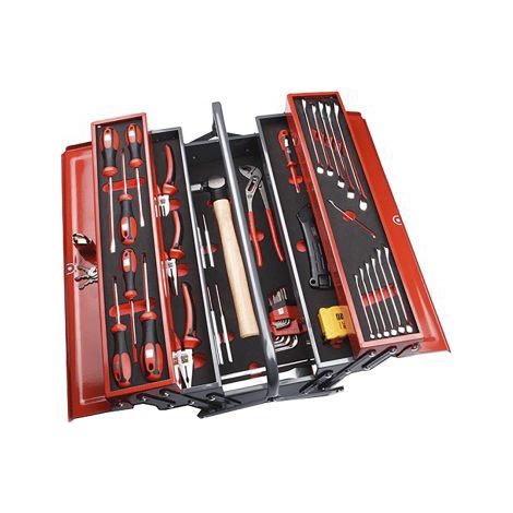 Mallette à outils Mécanique RS PRO, Jeu de 42 pièces ( Prix pour 1 Jeu ) (1/3)