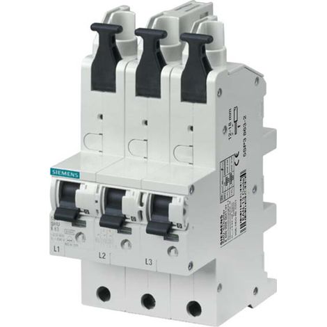 Siemens Indus.Sector SHU-Schalter 3x1p,E 63A,230/400V 5SP3863-2 (1/2)