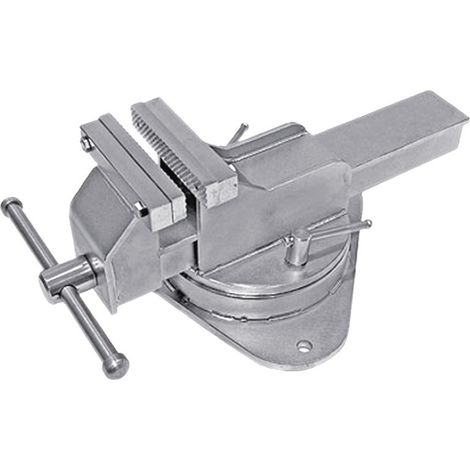 TORNILLO DE BANCO 100MM INOX