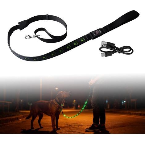 Laisse LED pour chien - Rechargeable par USB et réfléchissante (1,2 m) - Étanche et poignée rembourrée - Idéale pour les promenades nocturnes avec les grandes, moyennes et petites (1/5)