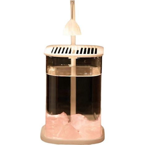 Mini aquarium de bureau en verre avec éclairage LED à cristaux colorés B (1/5)