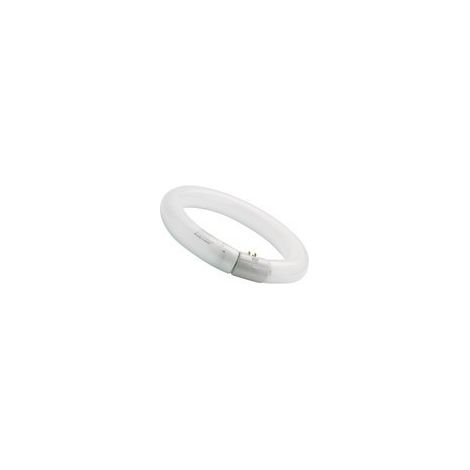 Sylvania - tl circline fc32w/840 coolwhite - 01964 - 5410288019642