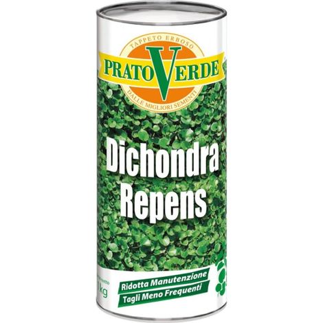 Prato Verde DICHONDRA REPENS Semi sementi prato per tappeti erbosi 500 gr 500 gr