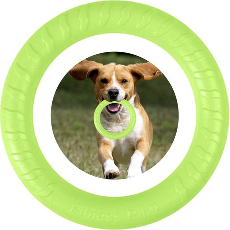 Frisbee vert pour animaux de compagnie (1 unité), 18 cm, avec poignée et résistant aux morsures. (1/5)
