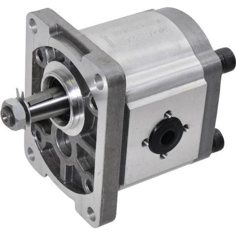 Pompe à engrenages GOPART GP2020S4030C18EGP