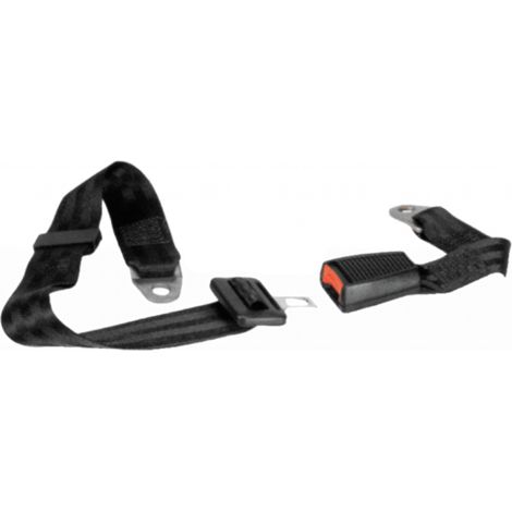 Kit cinture di sicurezza fisse con attacco a 2 punti 61736 Cobo