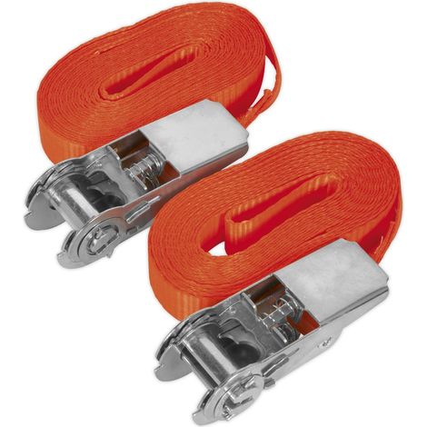Sealey Self-Securing Ratchet Straps 25mm x 4.5m 800kg Breaking Strength - Pair TD08045E (1/2)