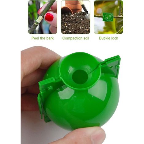 15 Pièces Boîte de Greffage de Plantes, Dispositif d'Enracinement Plantes Propagation Haute Pression Ball Botany Root Controller pour Jardin Croissance Elevage Greffe (Vert) (1/2)