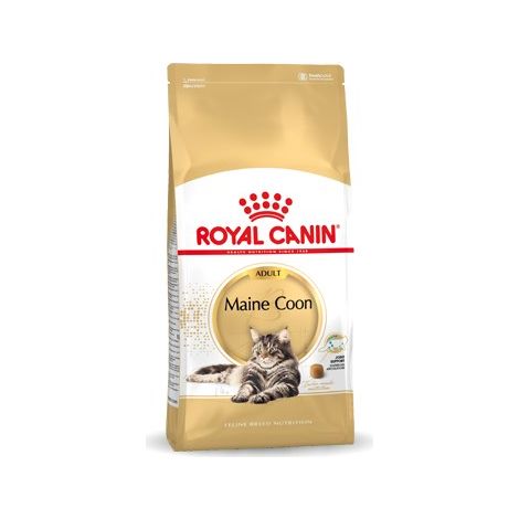 Royal Canin FBN Cat Maine Coon - Royal Canin FBN Cat Maine Coon - Sacco Da 10 Kg (1/5)