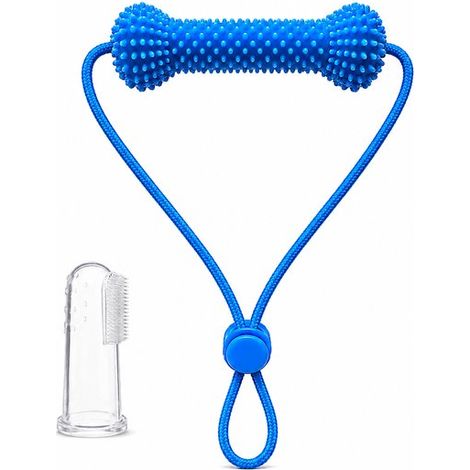 Kit de nettoyage dentaire pour chien, jouet de soin bucco-dentaire à double action, accessoire réutilisable pour brossage et hygiène des dents, bleu (1/5)