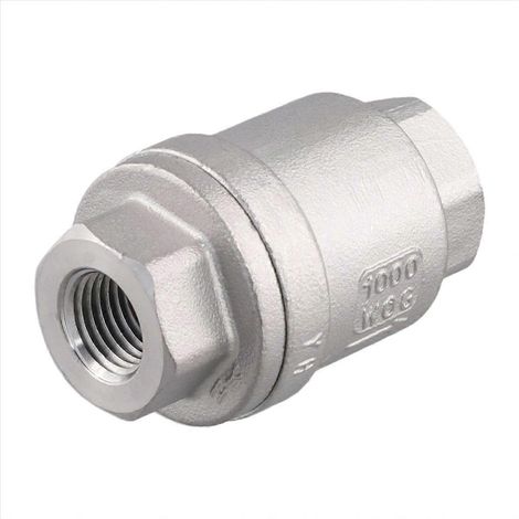 Clapet anti-retour vertical H12 pour pompe à eau, tuyau d'eau de 1/4 pouce, clapet anti-retour SSZFV (1/5)