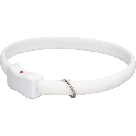 Collier lumineux pour chien avec plusieurs modes d'éclairage, longueur réglable, rechargeable par USB et réutilisable. (1/5)