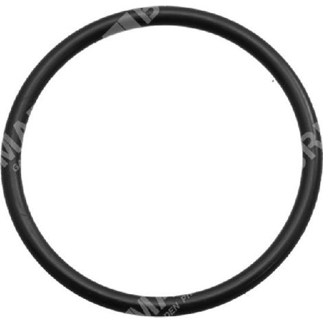 O-Ring für KOMPATIBLE BERTOLINI-Pumpen - 023372