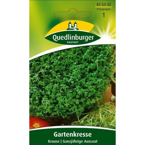 Quedlinburger Gartenkresse Krause - Kräutersamen (1/2)