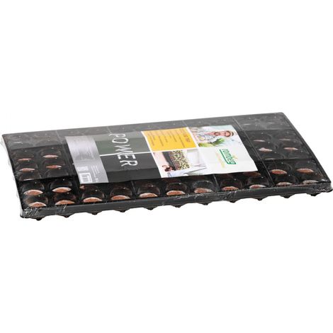 Romberg Coco Plug Tray 52x33x3 cm, mit 77 Kokos-Quelltabletten - 12091005 (1/3)