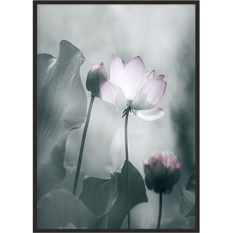 Bild Poster im Rahmen 43x33 cm Blume P1229 (1/4)