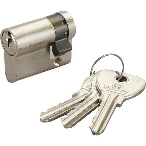 Cylindre De Serrure Bricard Alpha L.30 + 10 Mm (1/2)