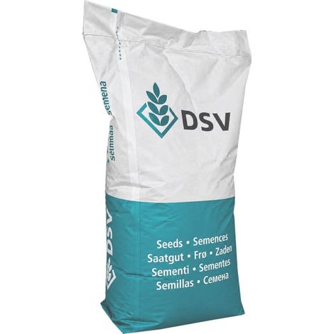 DSV Wildacker-Eintopf (BSV) annuel 10 kg mélange de culture pour gibier, graines de chasseur, mélange de champ pour gibier