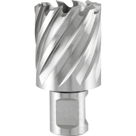 Kernbohrer Nenn-Ø 17 mm HSS-Co5 ComPact Schnitttiefe 30 mm Weldon RUKO (1/2)