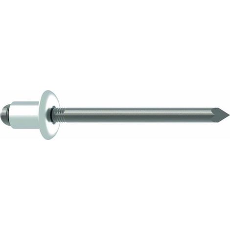 Rivet POP tige de rivet d x l 5 x 12 mm acier inoxydable 500 un. GESIPA 500 pièces (1/4)