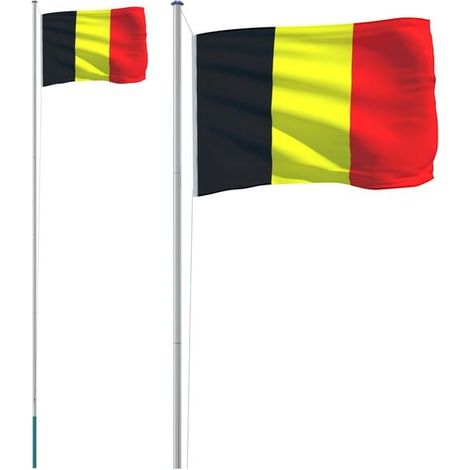 Le drapeau belge et un mât en aluminium de 6,08 mètres. (1/5)
