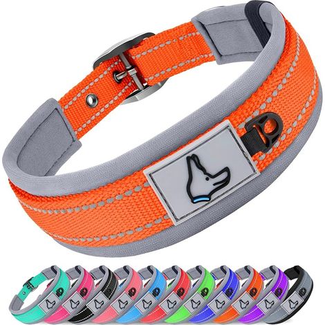 Hundehalsband, verstellbares, gepolstertes Hundehalsband mittlerer Größe, Reflektorstreifen, Orange, M (1/5)