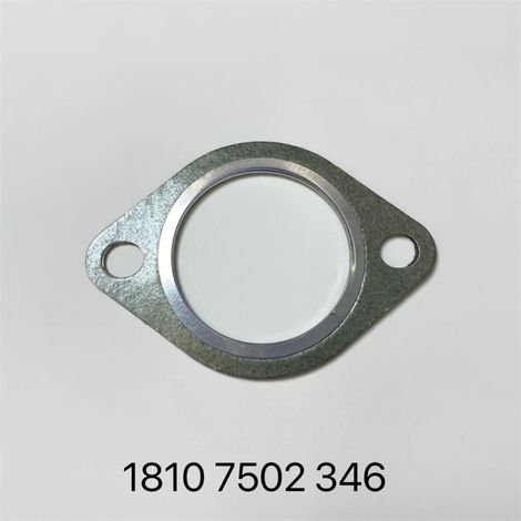 Joint de tuyau d'échappement 18107502346 adapté aux tuyaux d'échappement BMW E46, E61 et E83. (1/4)