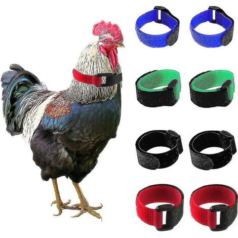 Collier anti-chant de coq souple et réglable, de haute qualité (lot de 2) - Bleu (1/5)