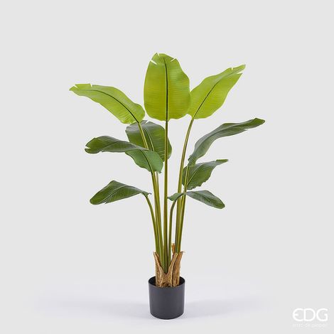 EDG Enzo De Gasperi Banano con Vaso Pianta Artificiale H 120 Cm Verde