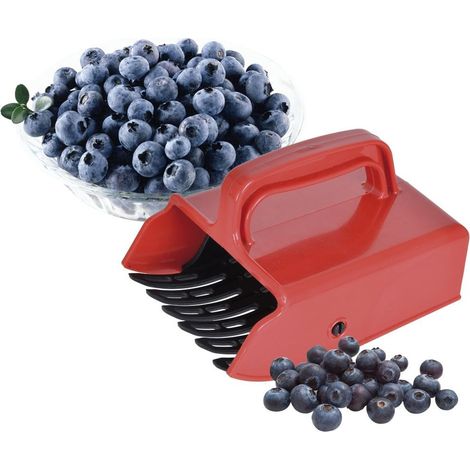 Beerenpflücker für Obst, Heidelbeeren, Johannisbeeren, Kamm, Maschine, Behälter