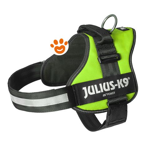 Pettorina Julius K9 Powerharness (DE) - Pettorina Julius K9 Powerharness (DE) - Verde, XXL / Taglia 3 (82-115cm)