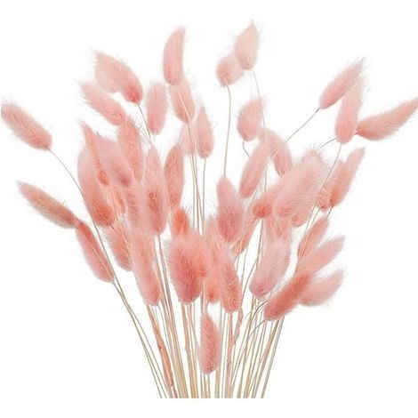 Dried Flowers - Pampas Grass - 60 Pieces - Preserved - Natural Decor - Height 40 cm