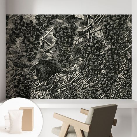 Papier peint intissé avec imprimé installation simple qualité excellente sans désordre - Colle incluse gratuite Imprimé raisin 104x70 cm (1/5)