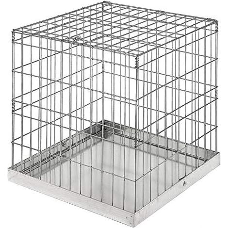 Gabbia espositiva per cani e gatti  Gabbia espositiva cubica zincata 62x62x61 cm  Gabbia per animali domestici