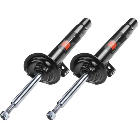 Amortiguador, longitud máxima 550 mm, longitud mínima 382 mm, tipo de presión de gas, diseño telescópico, compatible con vehículos Serie 3 E46. (1/5)