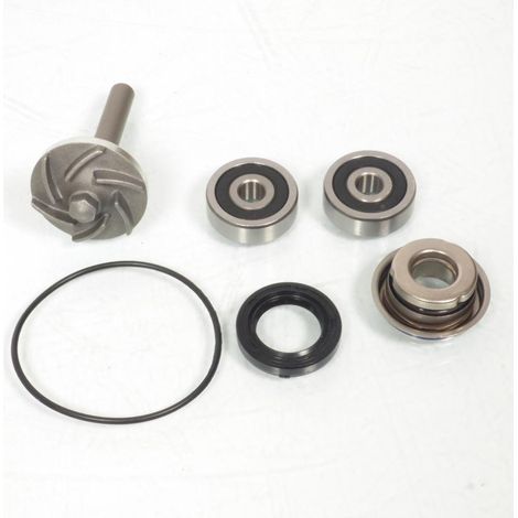 Magneti Marelli Wasserpumpe für Aprilia 125 RS (Baujahre 2014 bis (1/2)